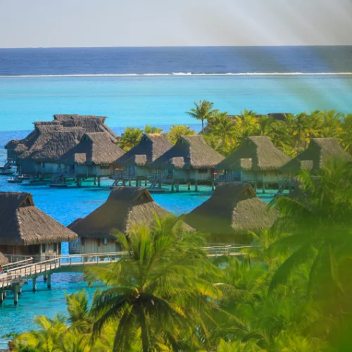 Tourismatique Conseil polynésie francaise accompagnement entreprises hôtellerie tourisme restauration