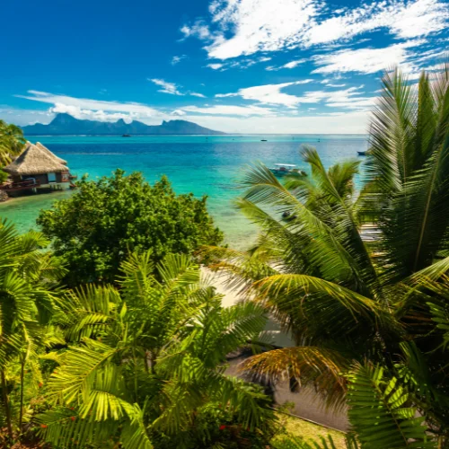 Tourismatique Conseil polynésie francaise accompagnement entreprises hôtellerie tourisme restauration